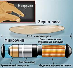 Чипирование людей